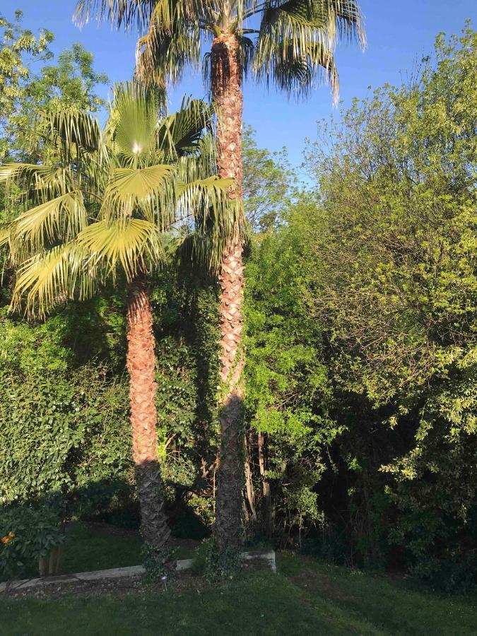 Hotel A Casa Bianca Saint-Paul-de-Vence Zewnętrze zdjęcie